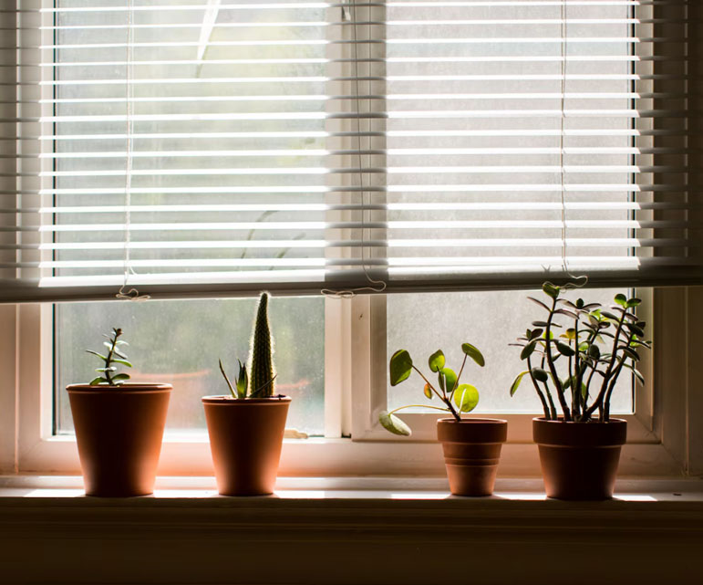 Window Blinds in Chennai
