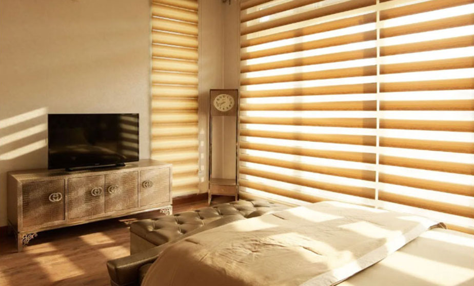 Zebra Blinds in Adyar